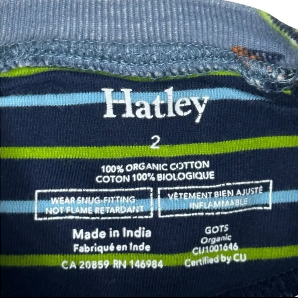 Hatley‎ Painted Dinos Organic Cotton Raglan Pajama Set
